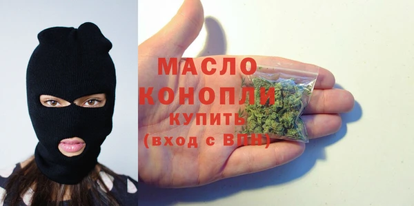 амф Гусев