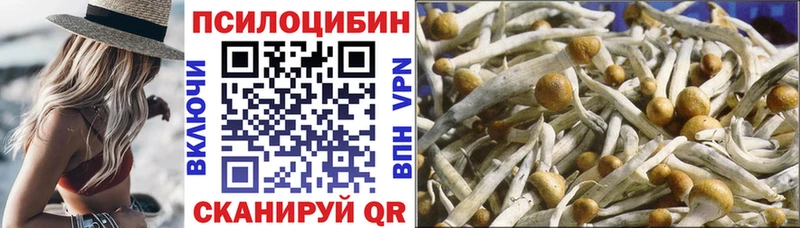 Псилоцибиновые грибы Magic Shrooms  Купить закладки  Асбест 